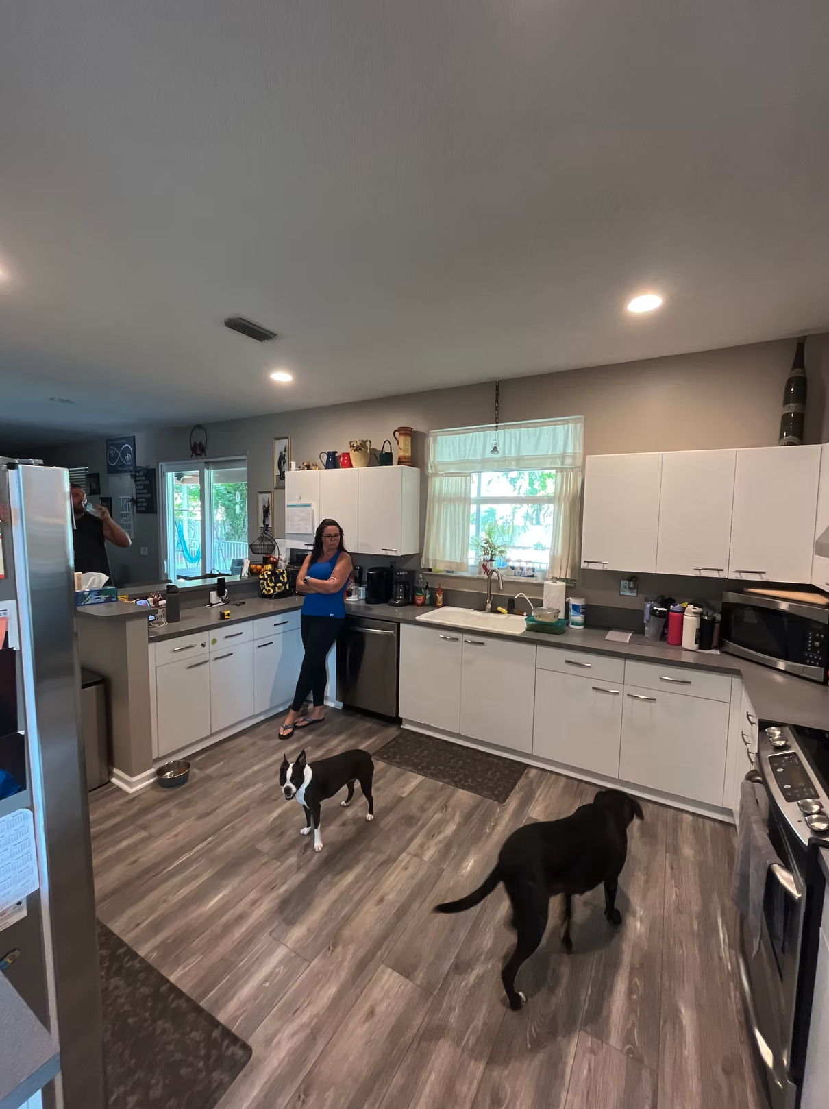 Modern kitchen interior with two dogs and a person standing